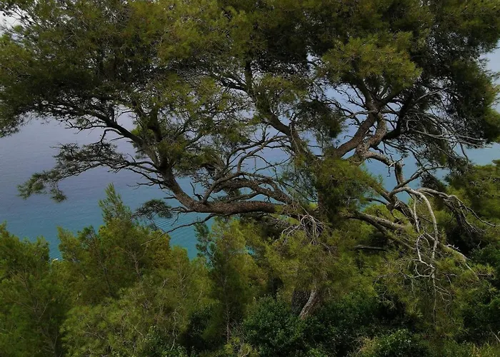 بيت للعطل Timo