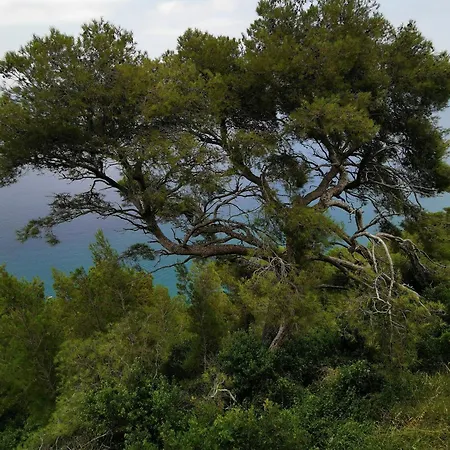 Σπίτι διακοπών Timo